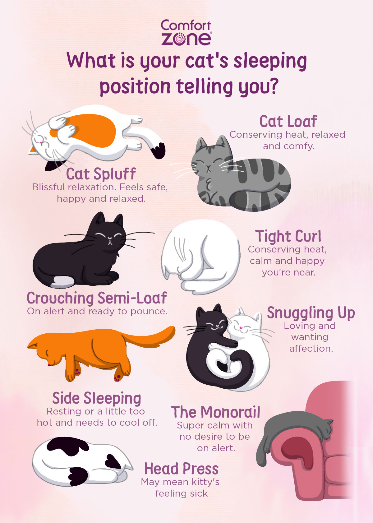 7 Cat Sleeping Positions When Sick.?