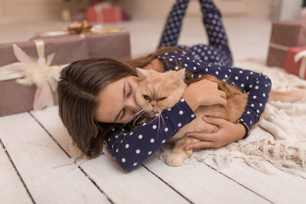 Your friend (and their cat) will love these cat-themed gift ideas.