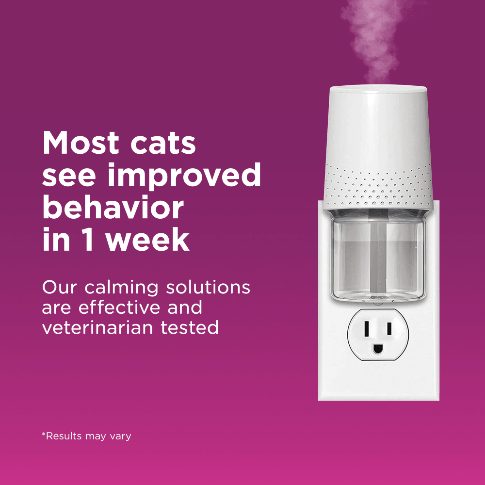 most cats see results and improved behavior in 1 week stop cats from urinating in house