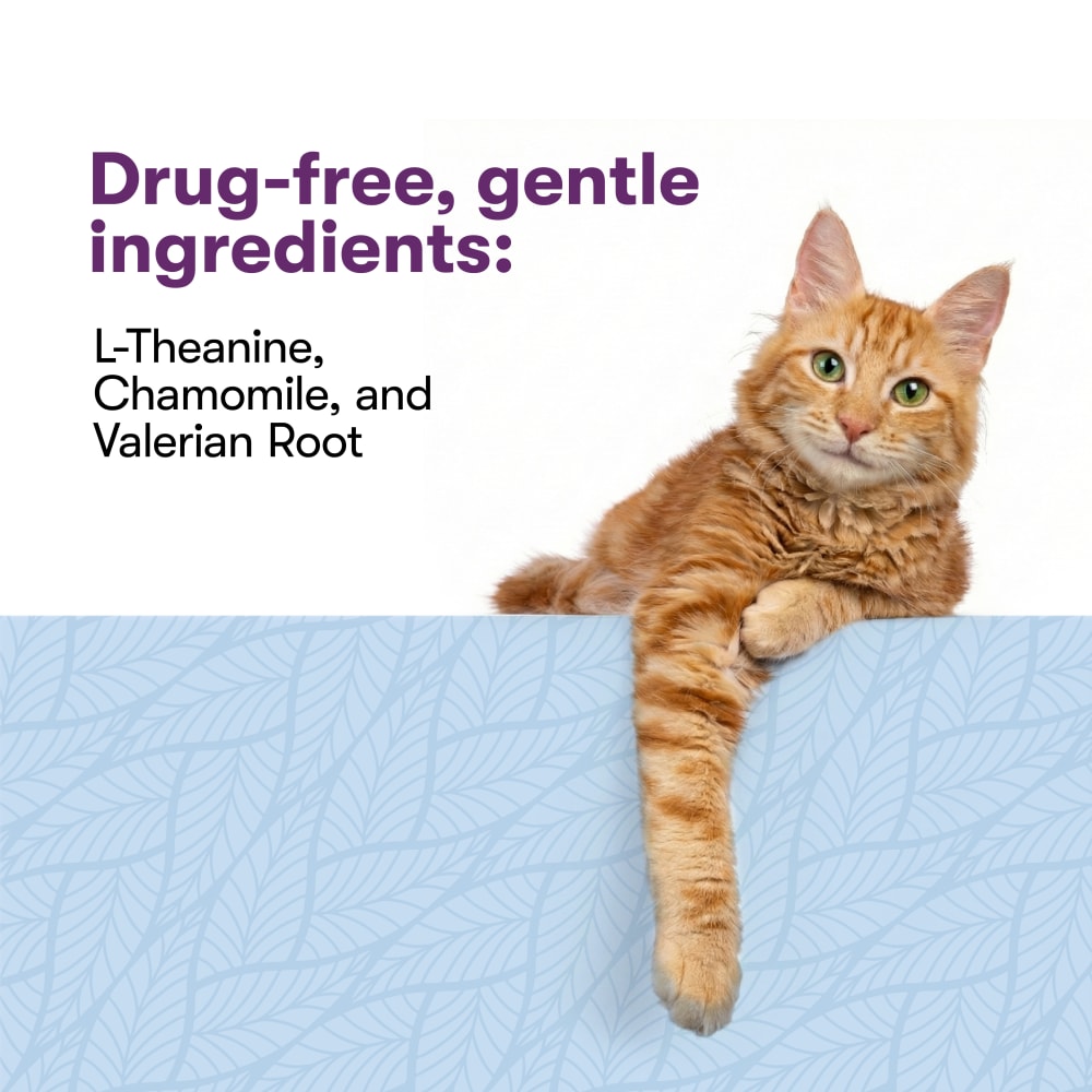 Cat Calming Mousse gentle, drug-free ingredients including L-Theanine, chamomile, and valerian root